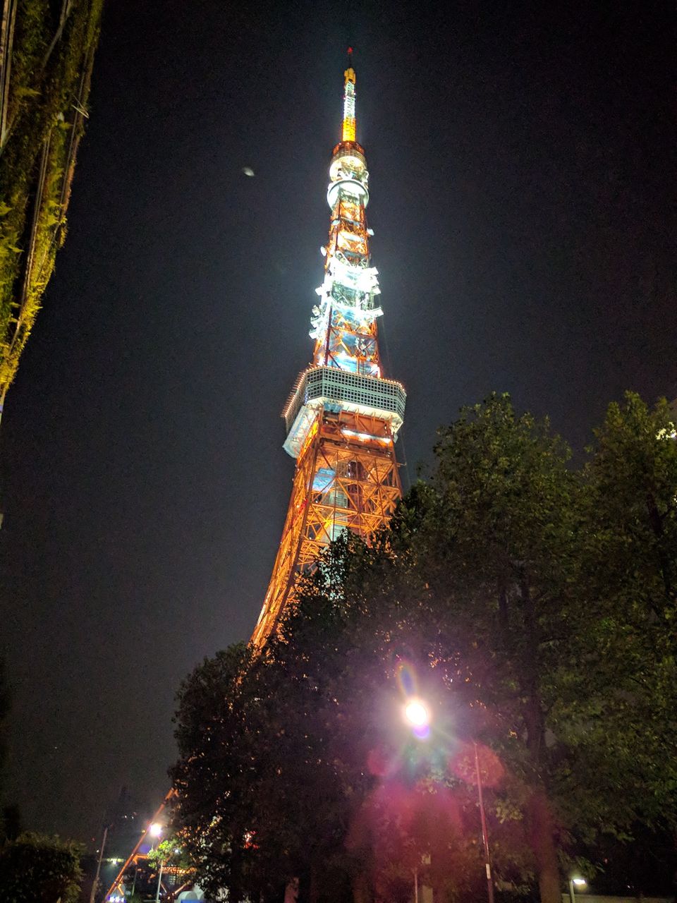森泉 森星 森家との戦争ブログ