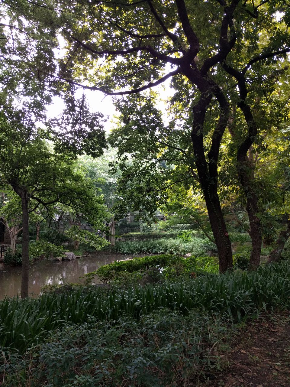 森泉 森星 森家との戦争ブログ