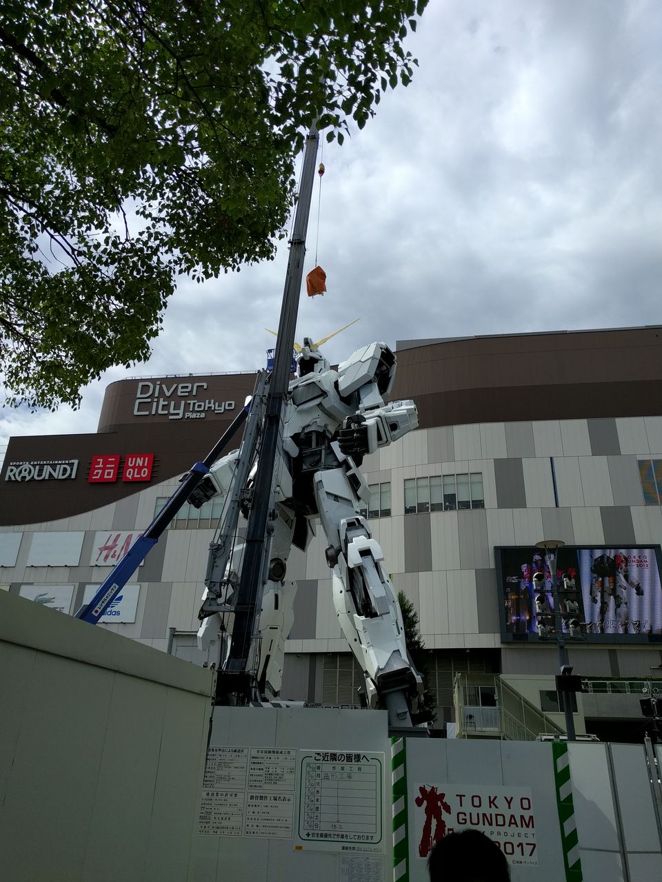 森泉 森星 森家との戦争ブログ