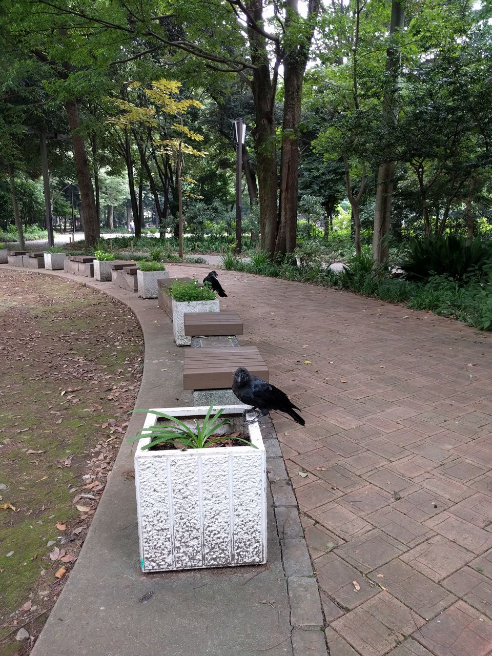 森泉 森星 森家との戦争ブログ