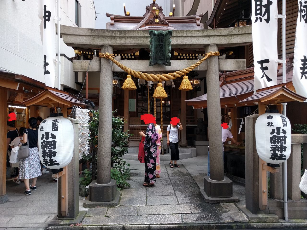 森泉 森星 森家との戦争ブログ