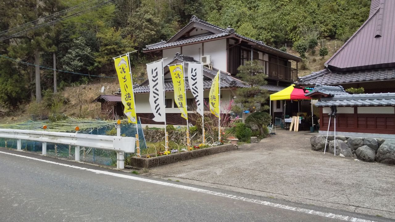 令和 元年 囮店 新規オープン もりじぃの鮎友釣り 令和 元年 囮店 新規オープン もりじぃの鮎友釣り