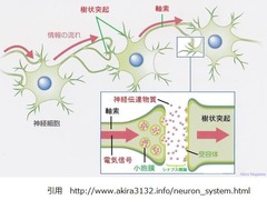 neuron_synapse001-1