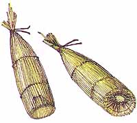 ドジョウの捕獲その３ 棚田再生事業 杜ハヤ高知の活動報告