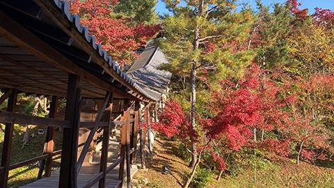 高台寺①