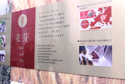 イメージ 8