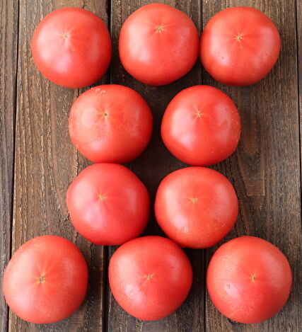 トマト きゅうり キャベツの甘酸っぱサラダ もりもんのまいにちおいしい