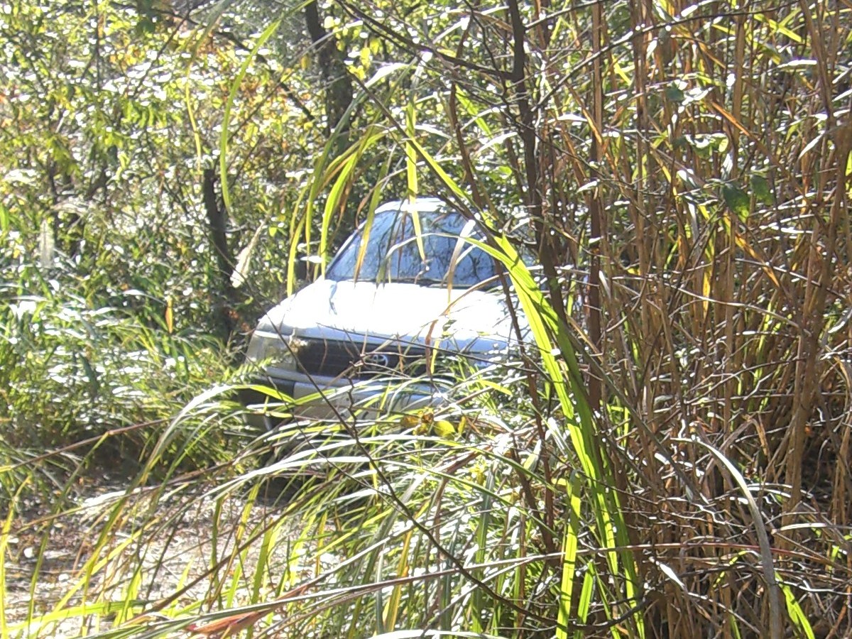 選択した画像 かすみ網 かすみ網 作り方