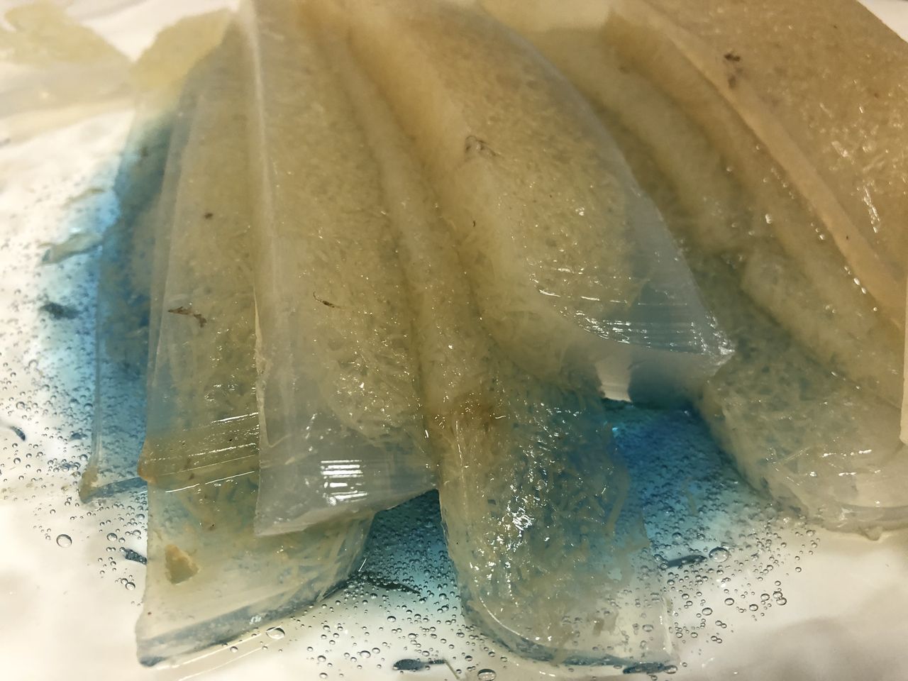 能登の海藻 えご いただきました 森本石油のブログ 能登の海藻 えご いただきました 森本石油のブログ
