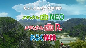 東京海上あんしん生命の代理店やってます 森本石油のブログ