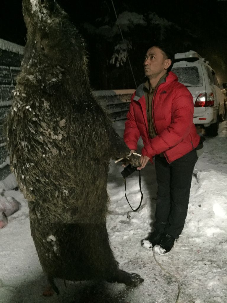 穴水に巨大いのしし現る それが 森本石油のブログ 穴水に巨大いのしし現る それが 森本石油のブログ