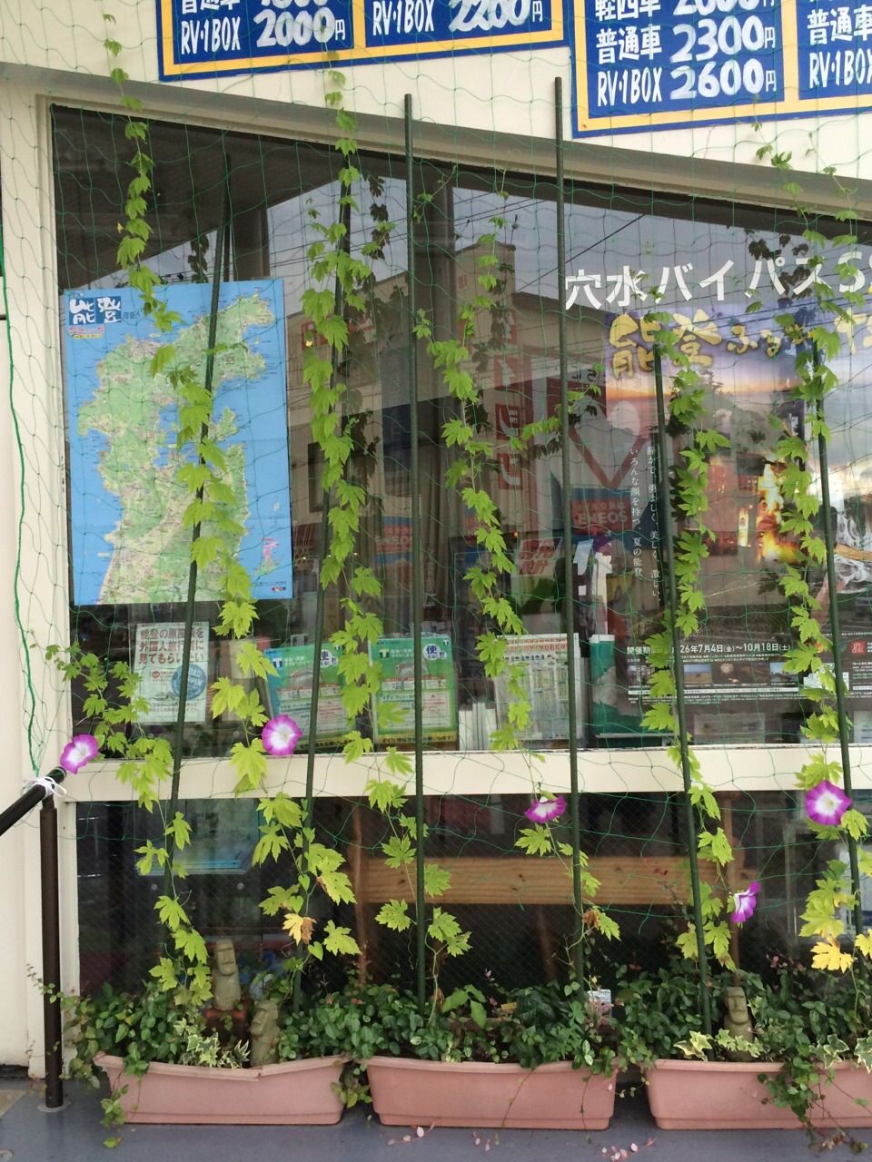 ゴーヤがなかなか育たない 森本石油のブログ ゴーヤがなかなか育たない 森本石油のブログ