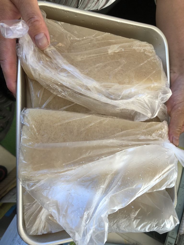 能登の海藻 えご いただきました 森本石油のブログ 能登の海藻 えご いただきました 森本石油のブログ