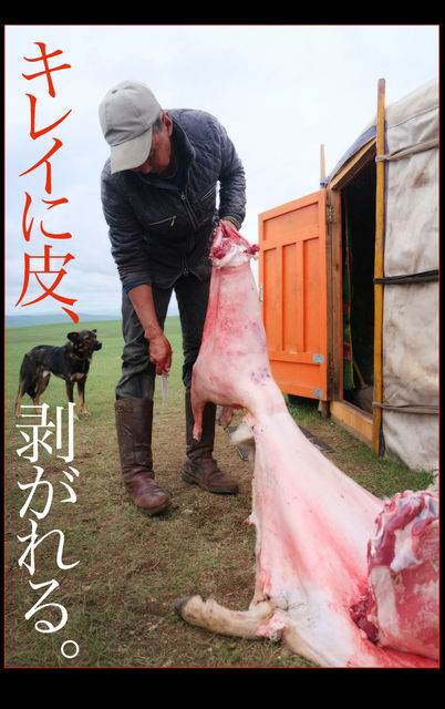 mongol-07-0015