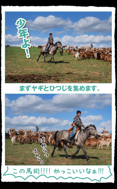 mongol-04-010