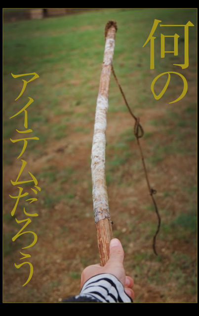 rie_03_004