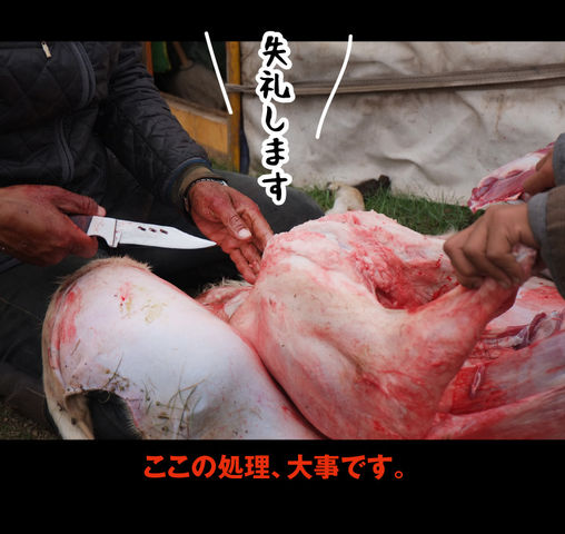 mongol-07-0011