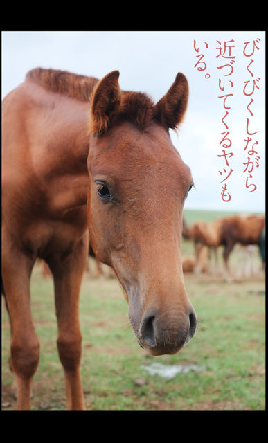 mongol_05_0033