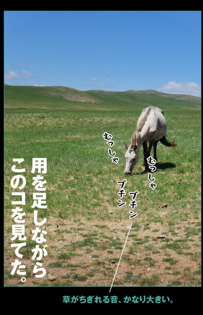 mongol-04-003