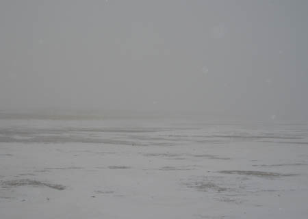 mgl_gobi_08