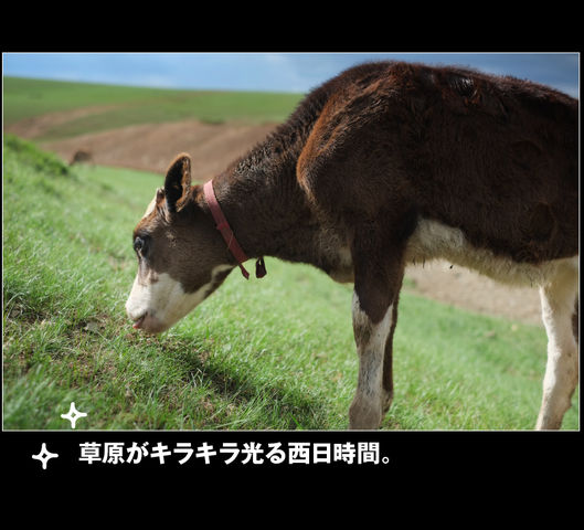 rie04_0057