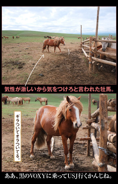 mongol_05_0029