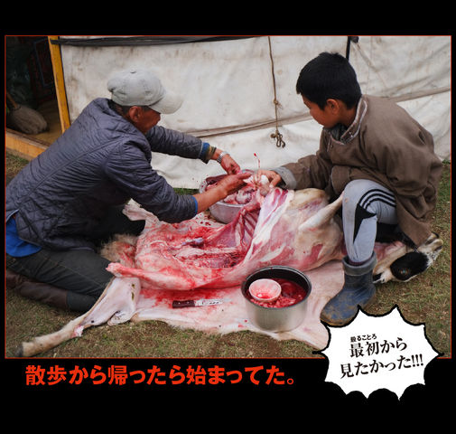 mongol-07-0002