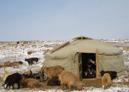 mgl_gobi_05