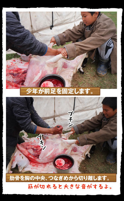 mongol-07-0006