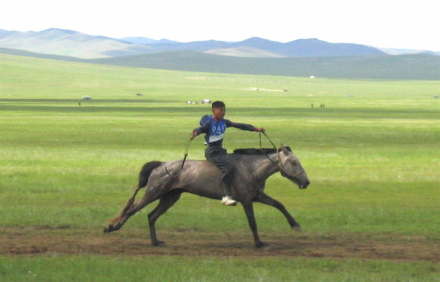 Naadam_rider_1