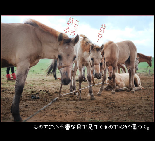 mongol_05_0032