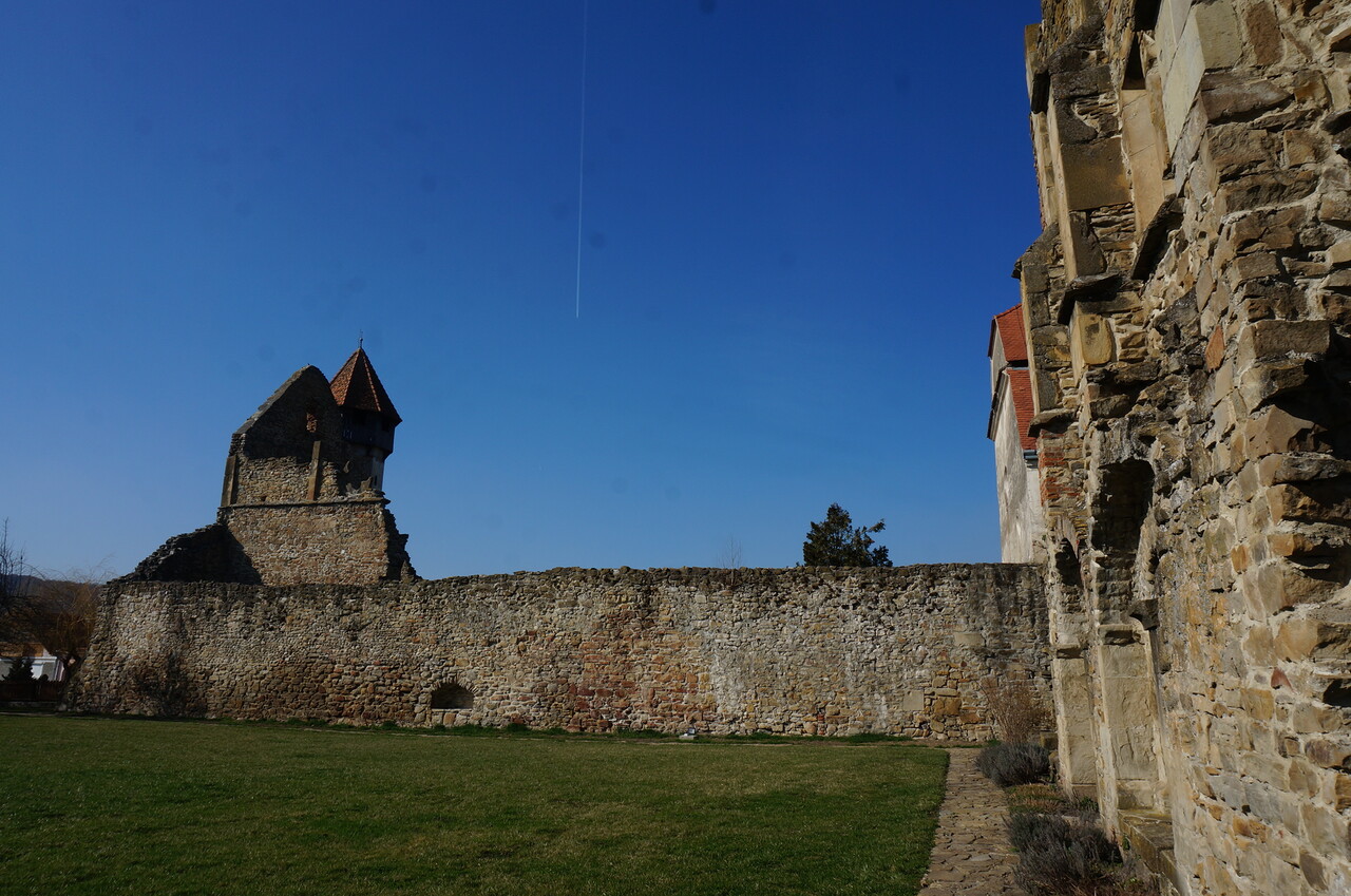 DSC09616