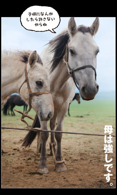 mongol_05_0034