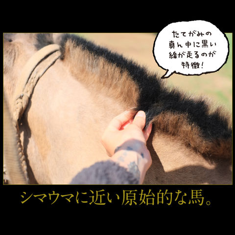 rie_03_0048