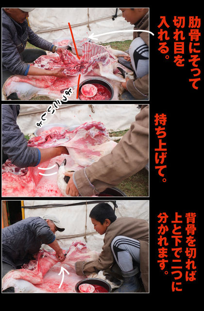 mongol-07-0014