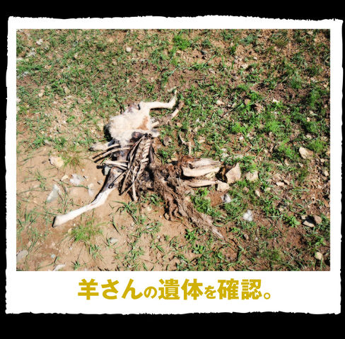 rie04_0046