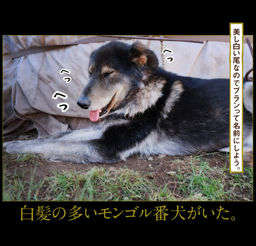 rie_03_0051