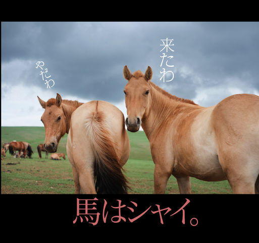 mongol_05_0031