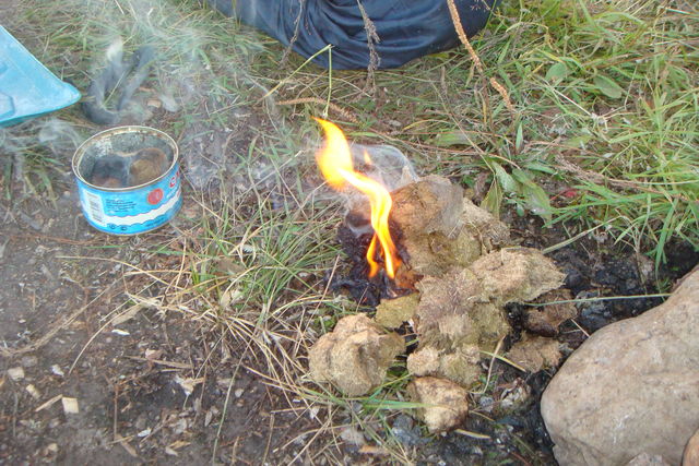 DSC03601
