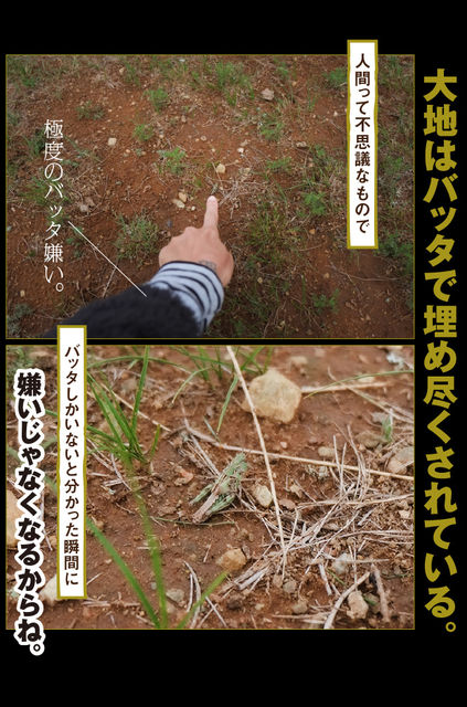 rie_03_007