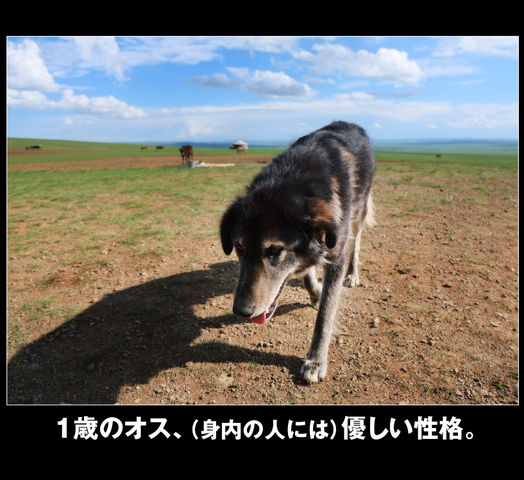 rie04_0054