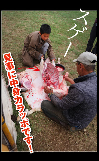 mongol-07-0009
