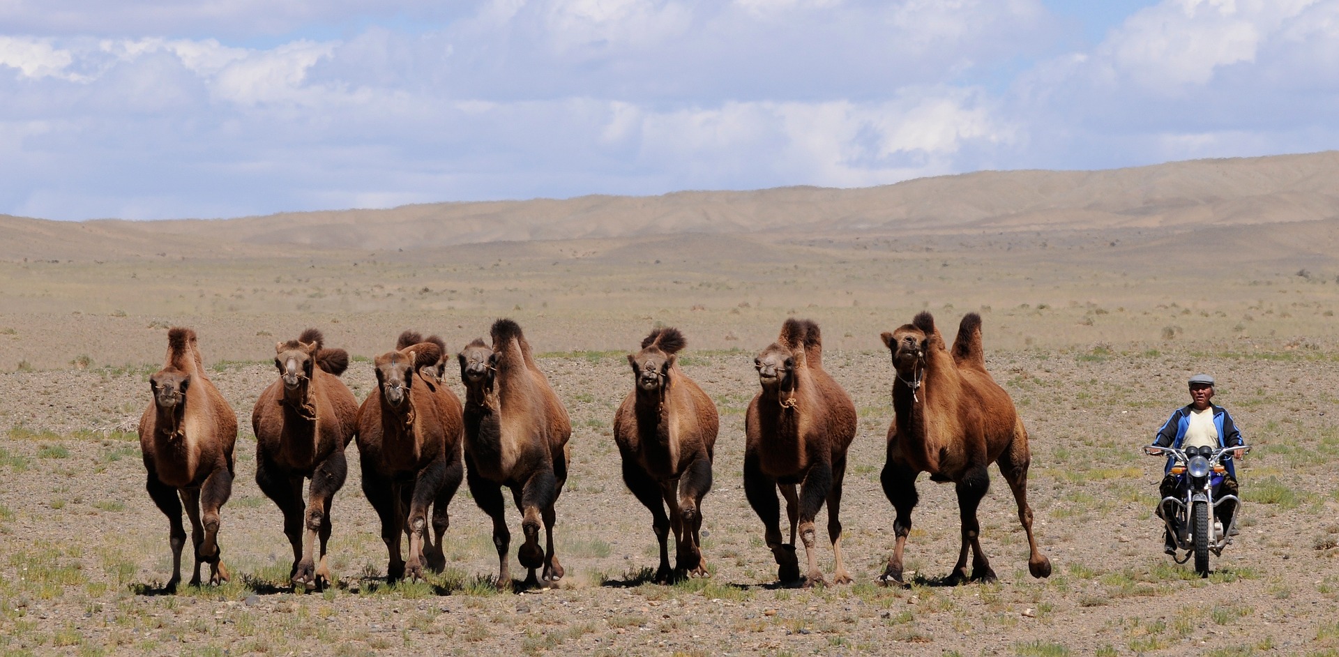 mongolia-ga834e60f5_1920