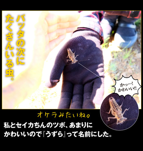 rie04_0049