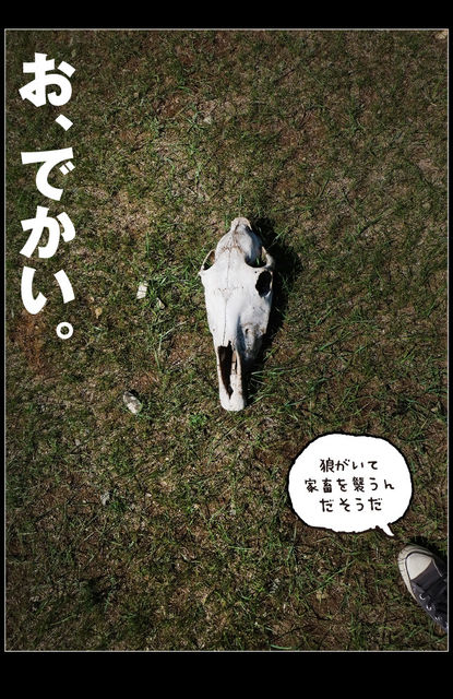 rie_03_0054