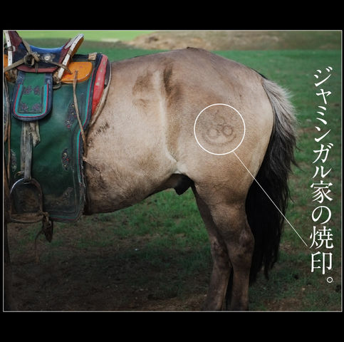 rie_03_0045