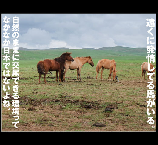 mongol_05_0026