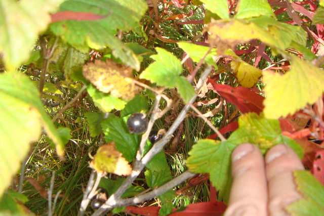 DSC03580