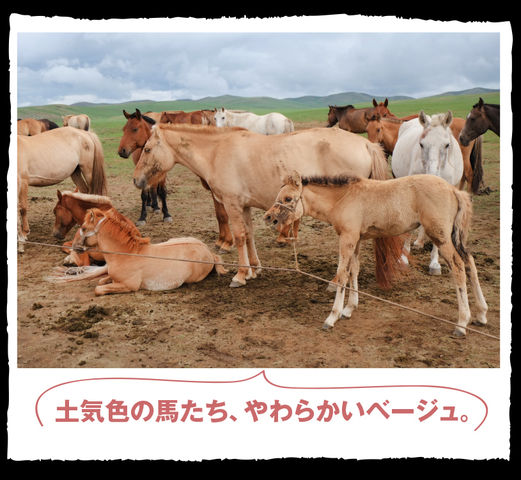 mongol_05_0027