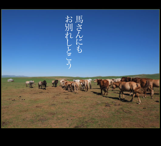 mongol_006_0031